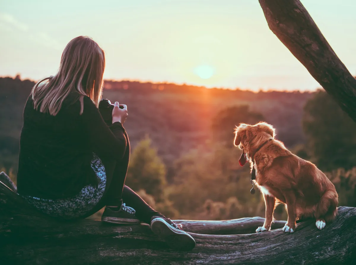 A woman sitting outdoors with her arm around a brown dog, both looking into the distance in soft evening light